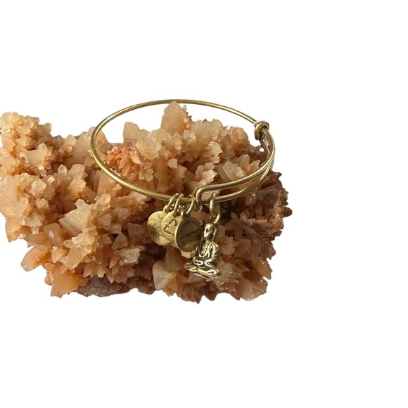 Signed Alex & Ani Gold Tone 4 Charms Buddha Adjustable Bangle Bracelet 7” NWT - Picture 8 of 14